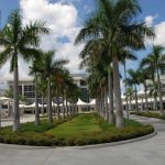 Landscape Restoration