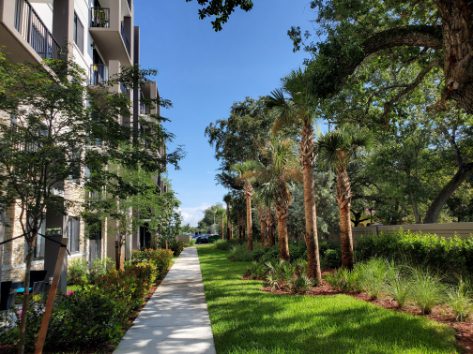 Residential Multi-family